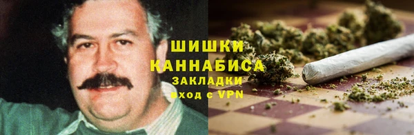 ГАЛЛЮЦИНОГЕННЫЕ ГРИБЫ Богородицк